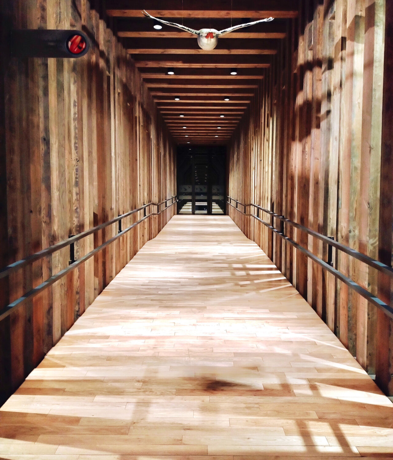 Mass Timber, un futuro sostenible