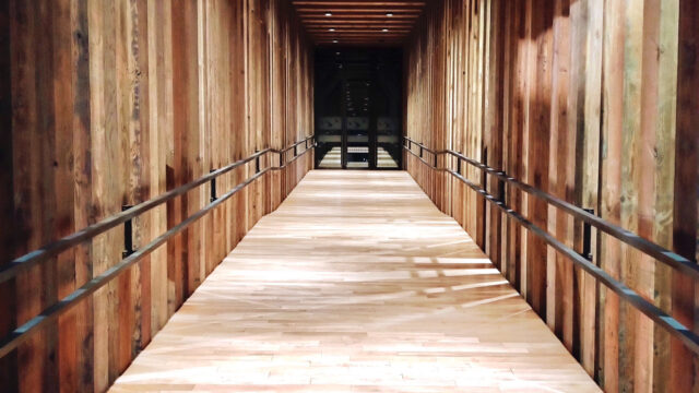 Mass Timber, un futuro sostenible